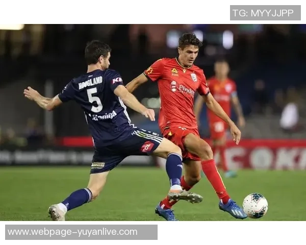 惠灵顿凤凰主场迎战墨尔本胜利期待激烈对决与精彩表现