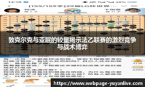 雨燕体育