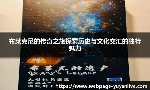 雨燕体育