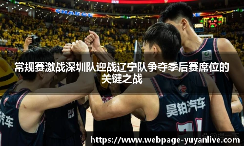 常规赛激战深圳队迎战辽宁队争夺季后赛席位的关键之战