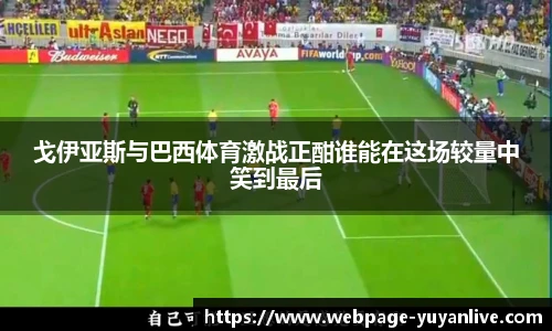 雨燕体育